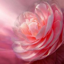 Схема вышивки «пион»