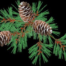 Схема вышивки «новогодний букет»