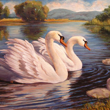 Схема вышивки «Семейство лебедей»