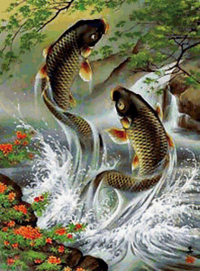 карпы - природа рыба река - предпросмотр