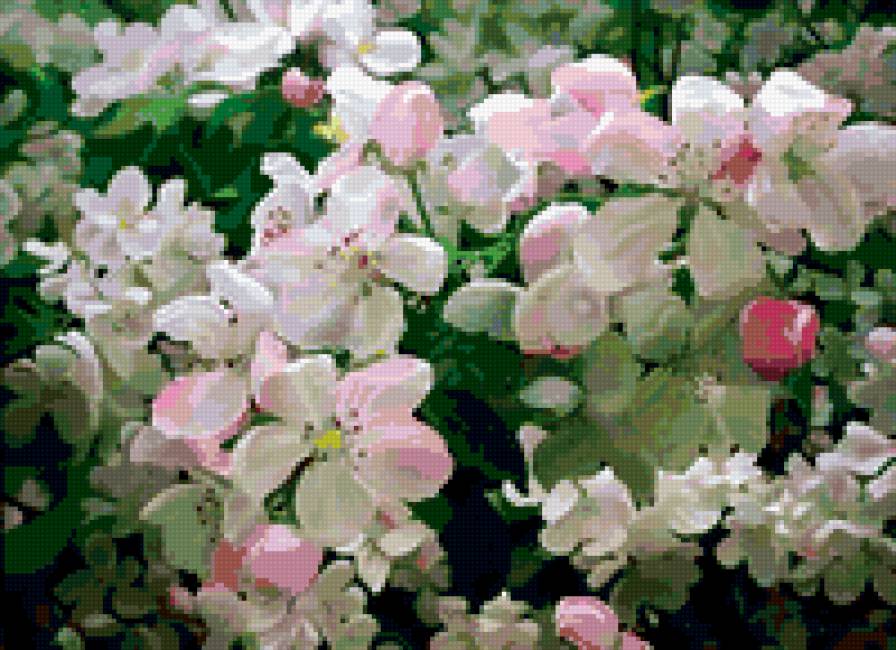 ЦВЕТУЩЕЕ ДЕРЕВО - цветы - предпросмотр