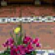 Предпросмотр схемы вышивки «Цветы, везде цветы» (№169019)