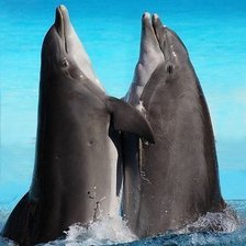 Схема вышивки «Дельфины»