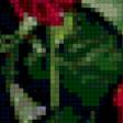Предпросмотр схемы вышивки «розы» (№169156)