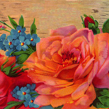 Схема вышивки «Розы и незабудки»