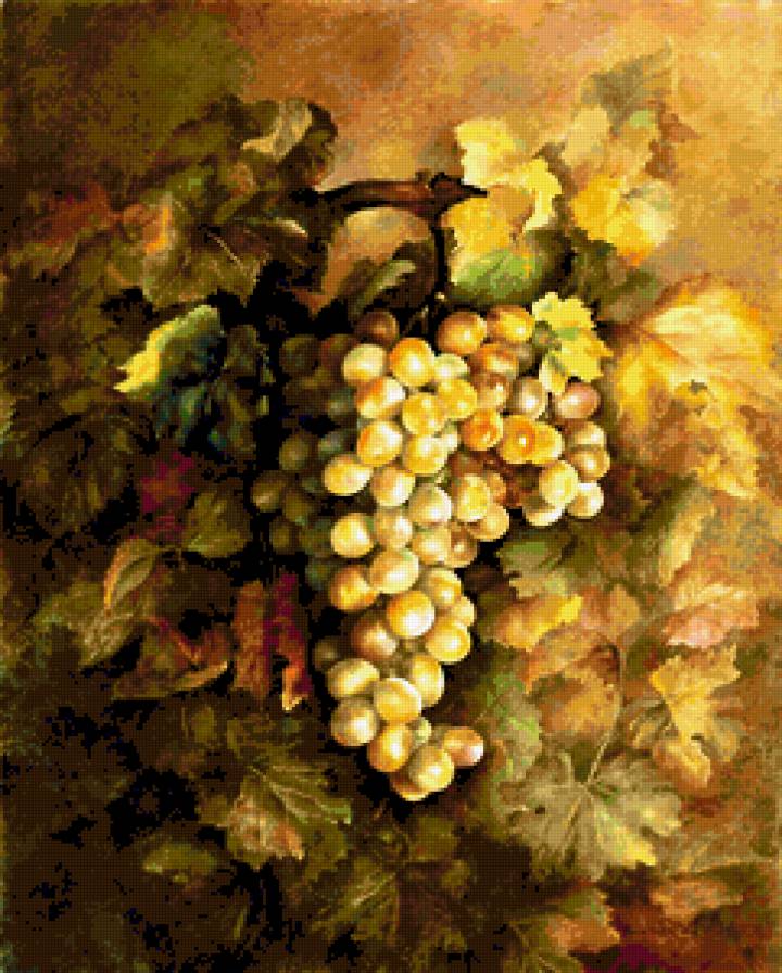 Виноградная гроздь - еда, натюрморт, виноград - предпросмотр