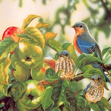 Схема вышивки «птицы на яблоне»