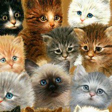 Схема вышивки «Котята»