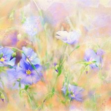 Схема вышивки «цветы»