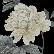 Схема вышивки «Пион.»