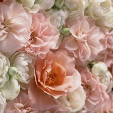 Схема вышивки «Peach Petals»