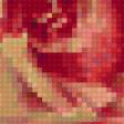 Предпросмотр схемы вышивки «Розы.» (№169321)