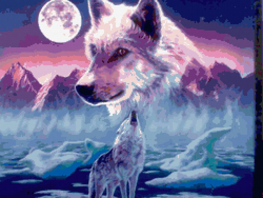 №169436 - природа, хищники, волки - предпросмотр