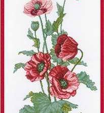 Схема вышивки «маки»