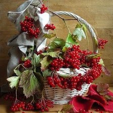 Схема вышивки «Калина красная»