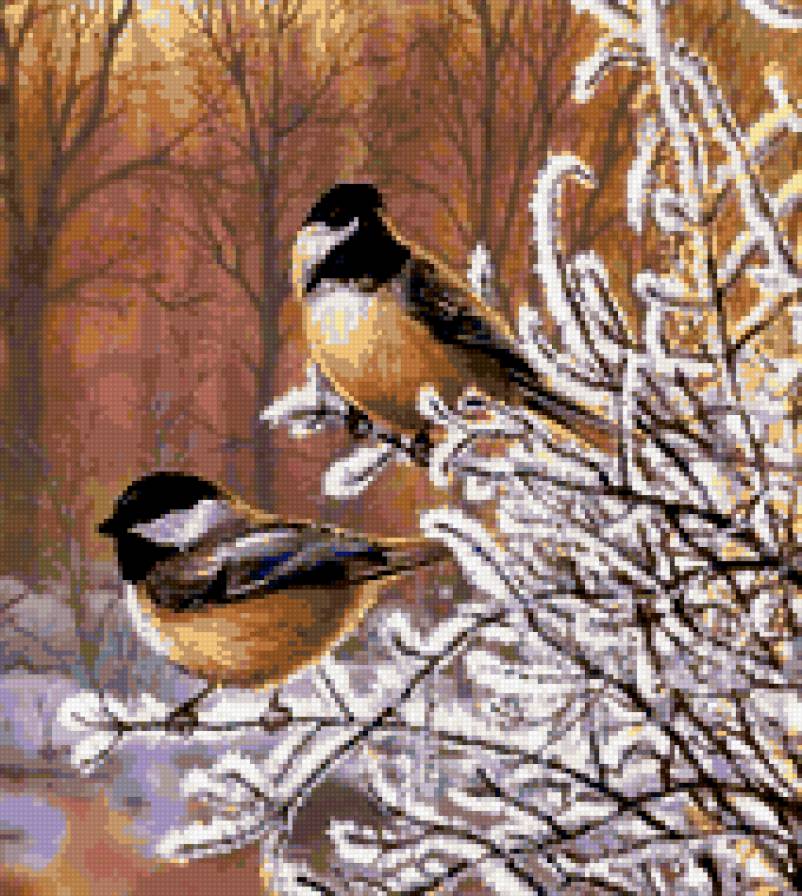 Синички - синица, птицы, природа - предпросмотр