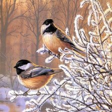 Схема вышивки «Синички»