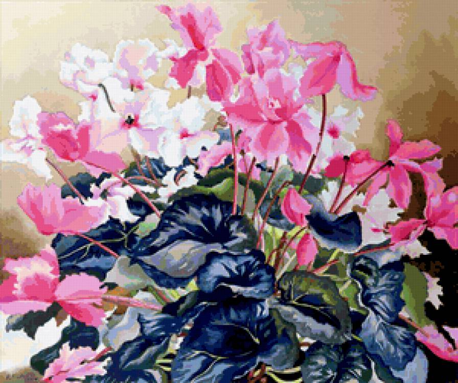 Серия "Букет" - цикламен, цветы, букет - предпросмотр