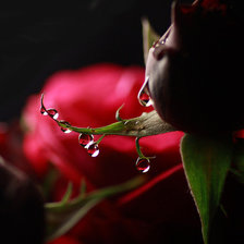 Схема вышивки «соблазн»