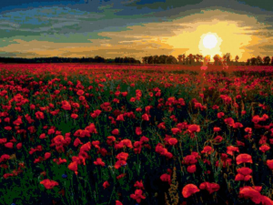 №169740 - природа, живопись, маки, искусство, цветы - предпросмотр