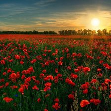 Схема вышивки «№169740»