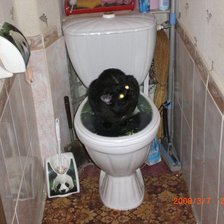 Схема вышивки «застукали»