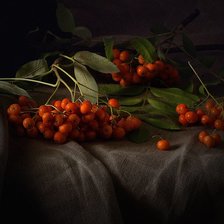 Схема вышивки «Рябина»