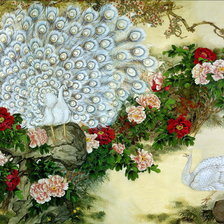 Схема вышивки «павлин»