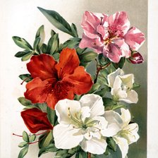 Схема вышивки «букетик»