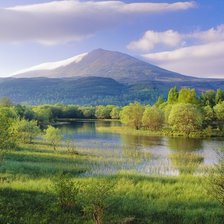 Схема вышивки «природа»