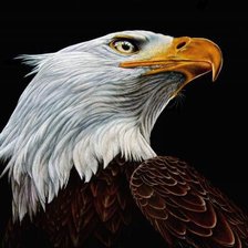 Схема вышивки «№170028»