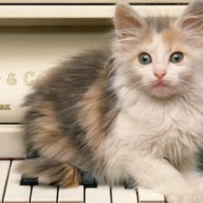 Схема вышивки «cute cat»
