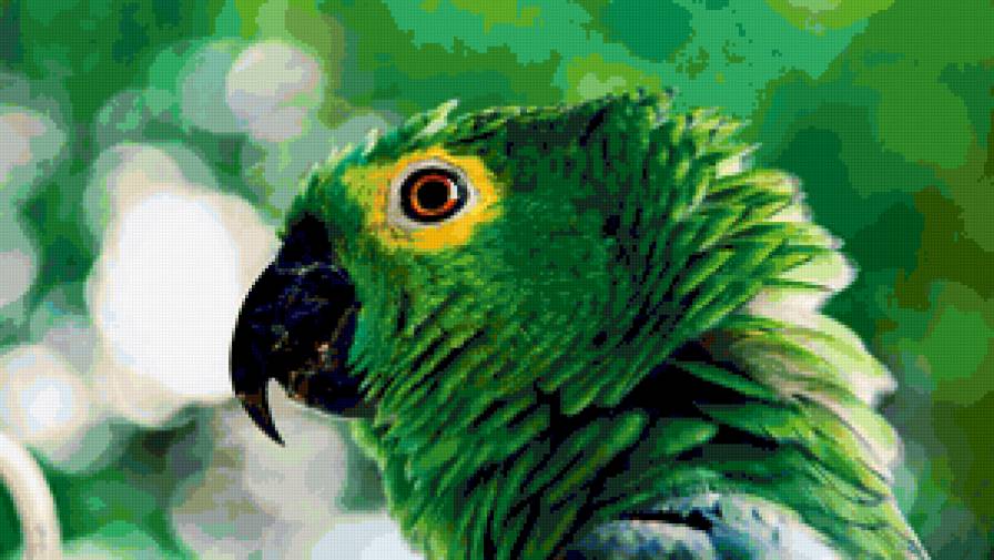 green parrot - птицы, попугай, птица, parrot - предпросмотр