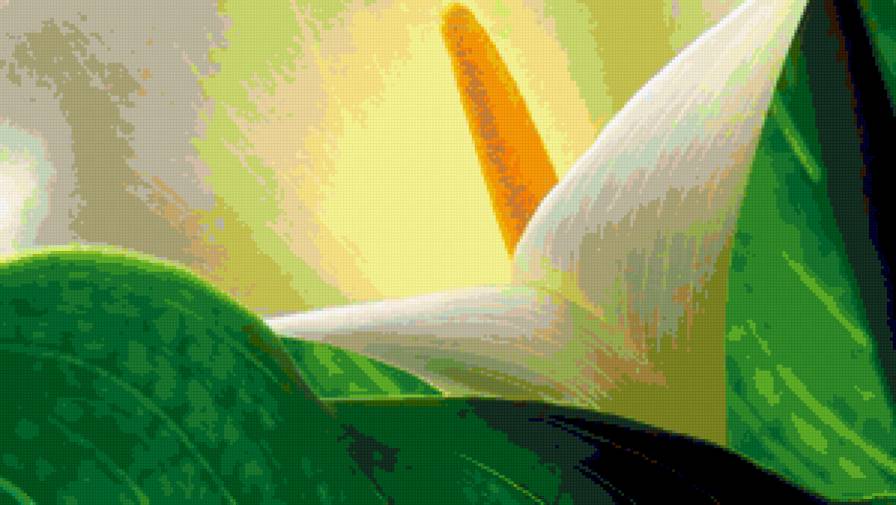 flowers macro - цветы, flower, розы, букет, роза, цветок - предпросмотр