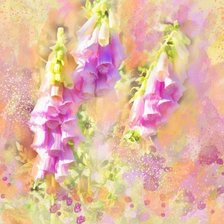 Схема вышивки «№170189»