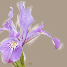 Схема вышивки «№170200»