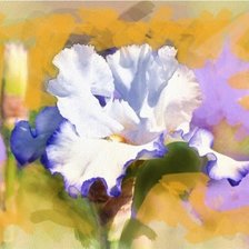 Схема вышивки «№170205»