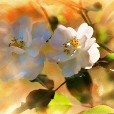 Схема вышивки «№170208»