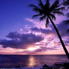 Схема вышивки «фиолетовый вечер»