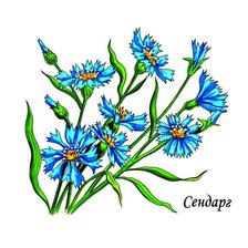 Схема вышивки «Cornflower»