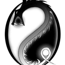 Схема вышивки «Ин- Янь»