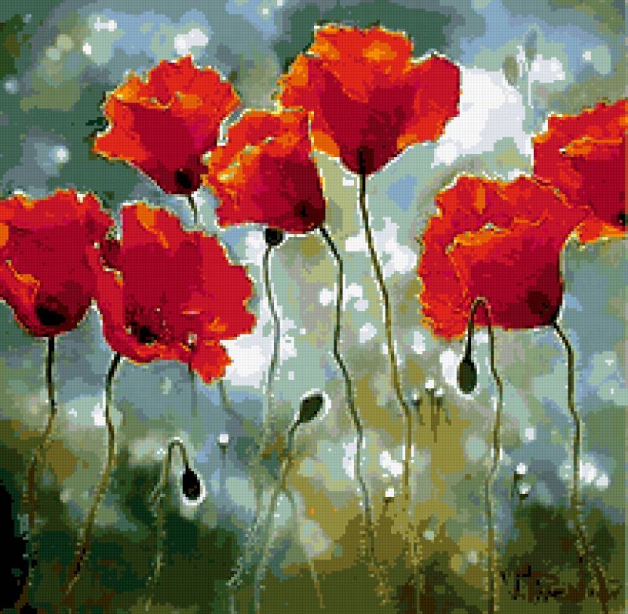 Маки - маки, цветы - предпросмотр