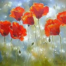 Схема вышивки «Маки»