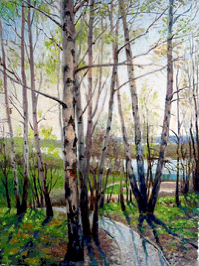 Лето - , лето, березы, солнце - предпросмотр