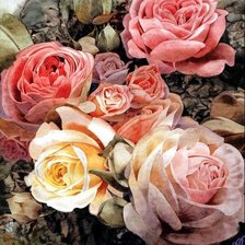 Схема вышивки «№170590»