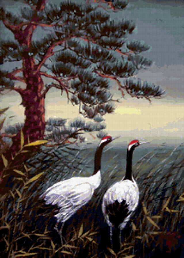 №170596 - предпросмотр