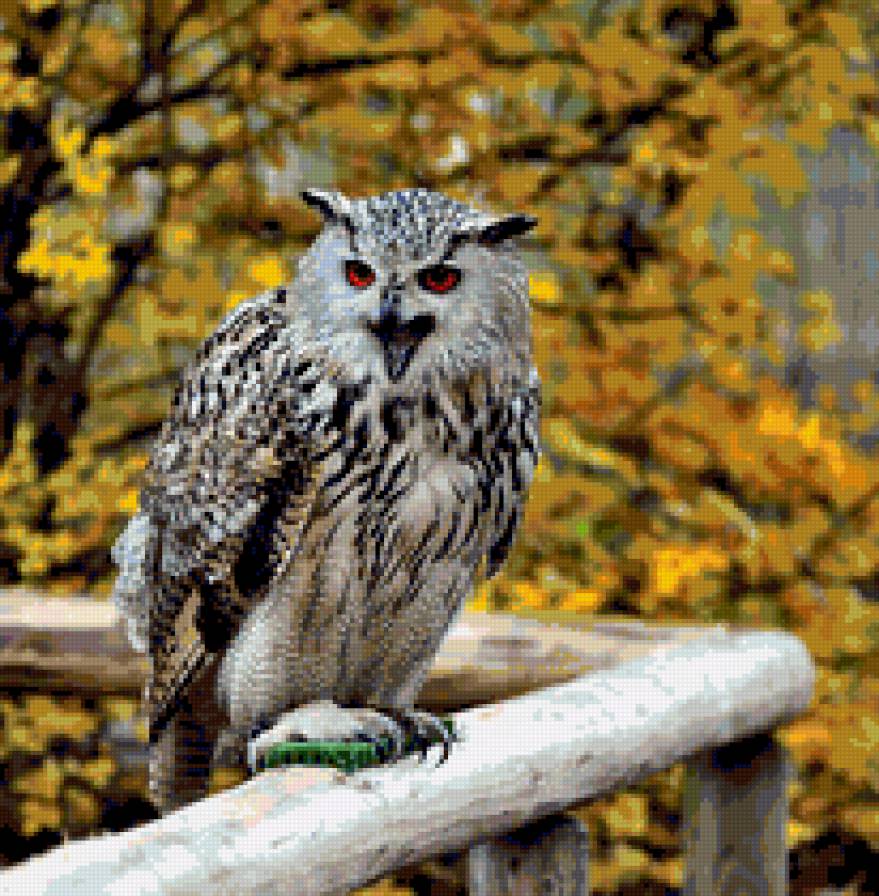 filin - filin - предпросмотр