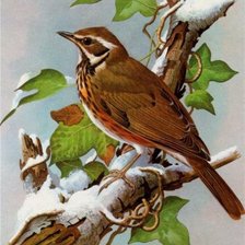 Схема вышивки «на ветке»