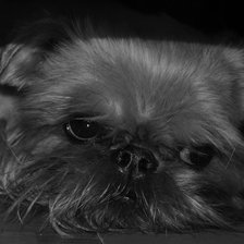 Схема вышивки «№170718»