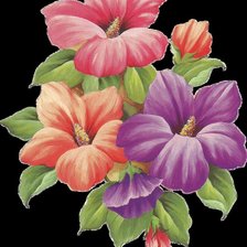 Схема вышивки «цветы на черном»